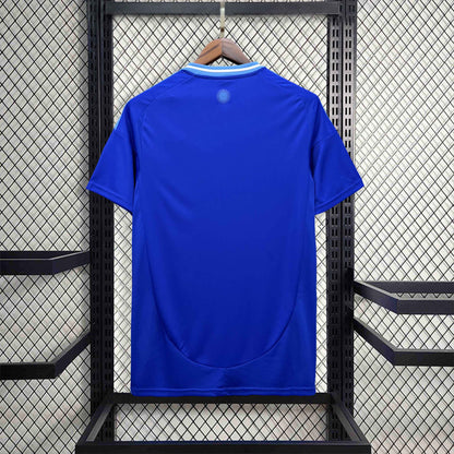 Argentina Away Football shirt 2024/25